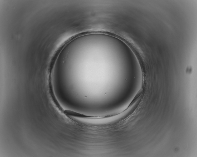 X0000097651416200802291439