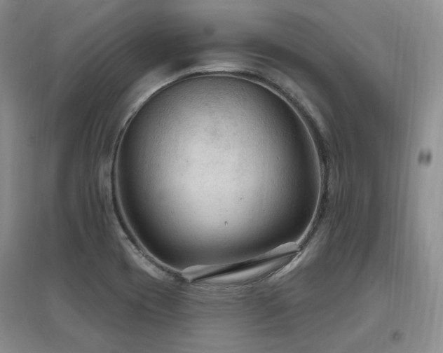 X0000097651417200802291439
