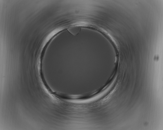X0000097651418200802291439