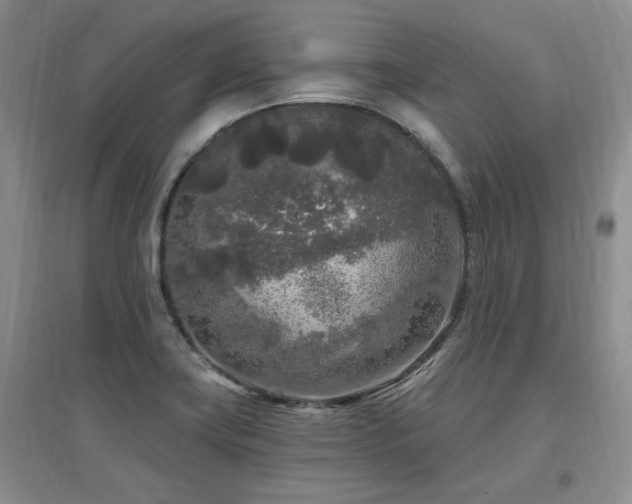X0000097651419200802291439