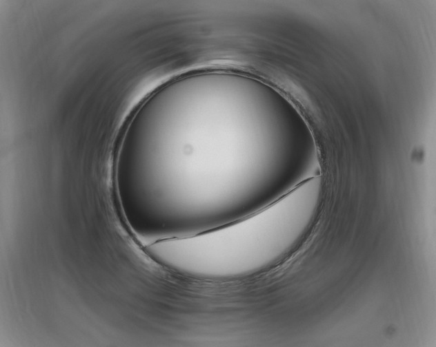 X0000097651420200802291439