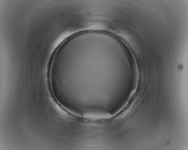 X0000097651422200802291439