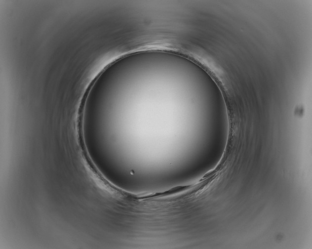 X0000097651423200802291439