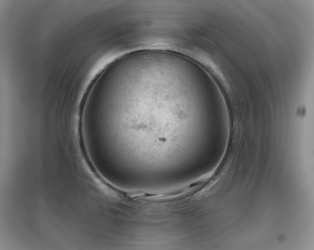 X0000097651424200802291439