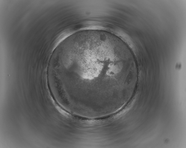 X0000097651425200802291440