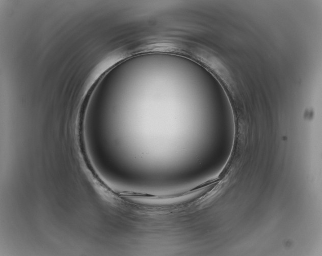 X0000097651426200802291440