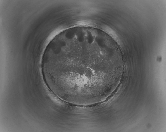 X0000097651427200802291440
