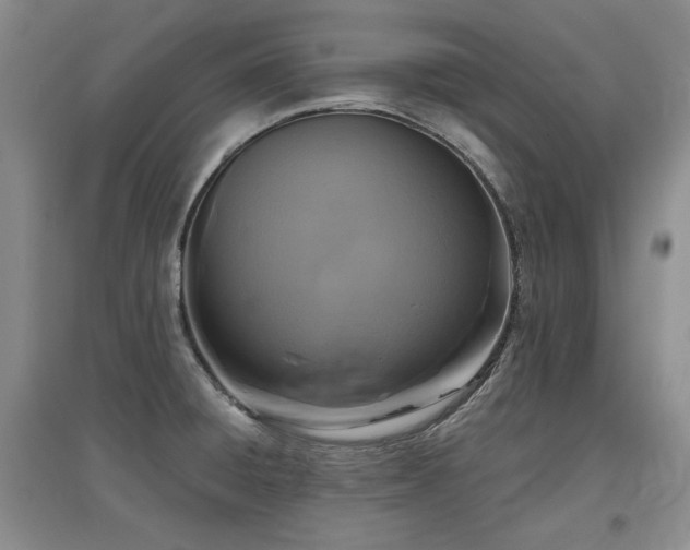 X0000097651428200802291440
