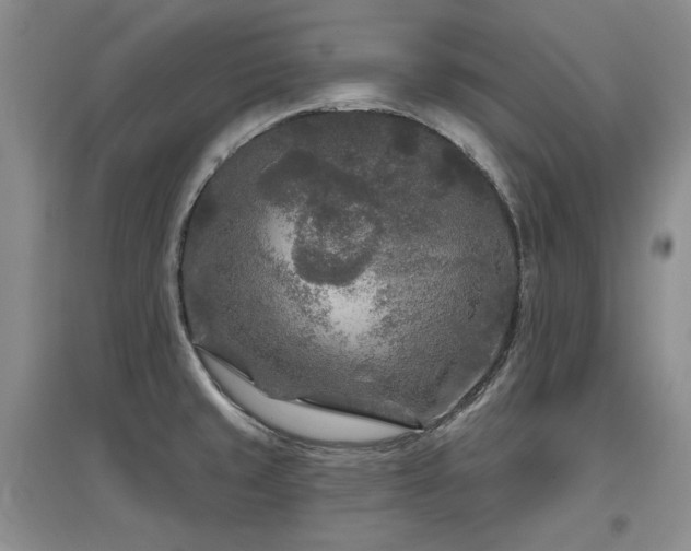 X0000097651429200802291440
