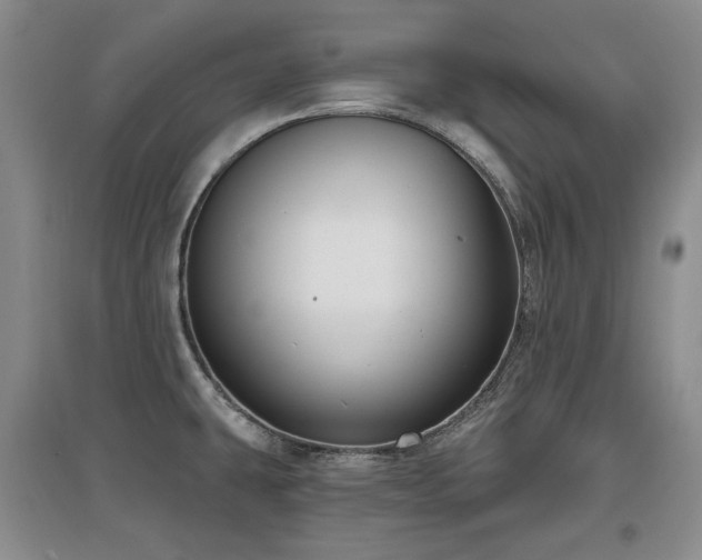 X0000097651431200802291440