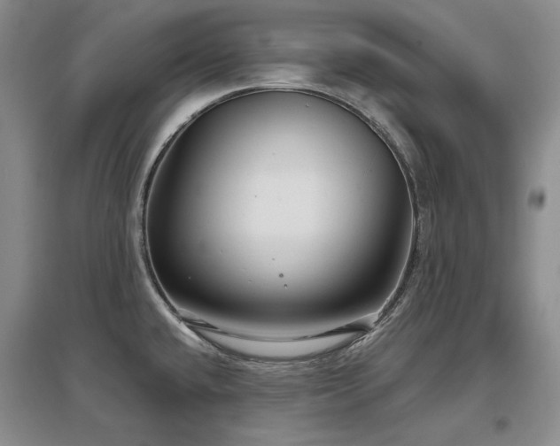 X0000097651432200802291440