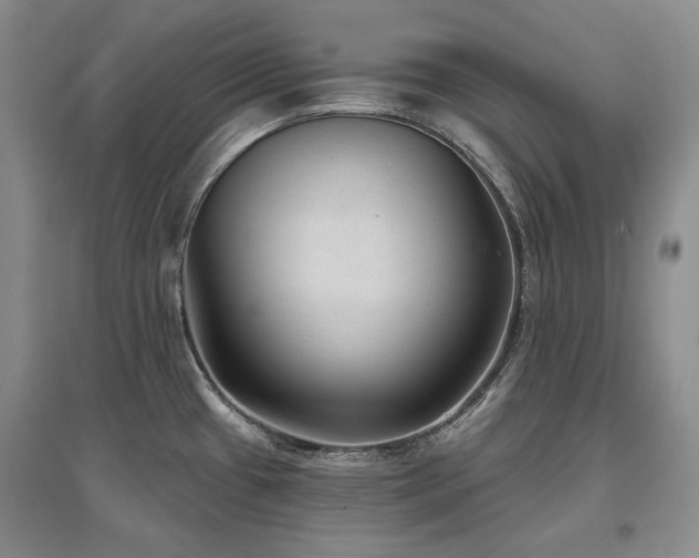 X0000097651433200802291440