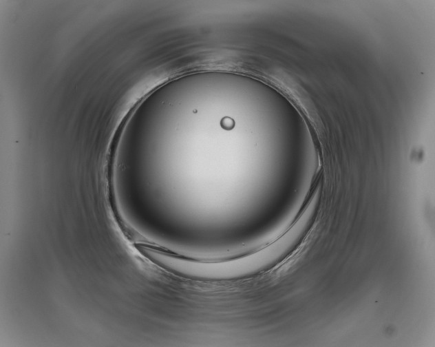 X0000097651434200802291440