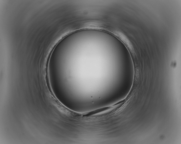X0000097651435200802291440