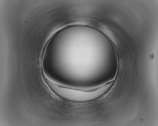 X0000097651436200802291440