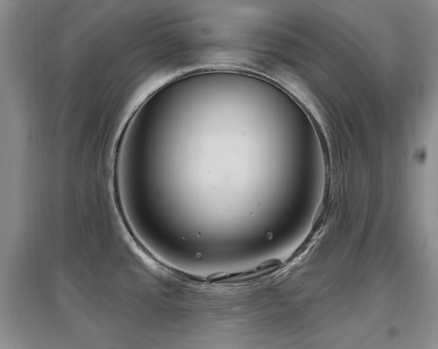 X0000097651437200802291440