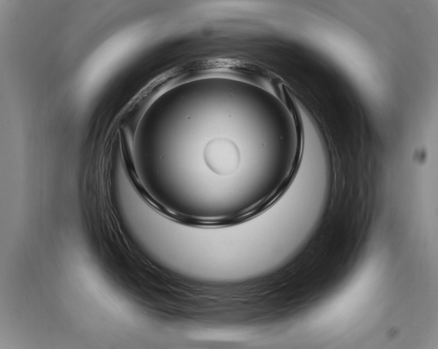 X0000097651438200802291440