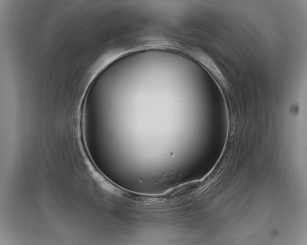 X0000097651439200802291440