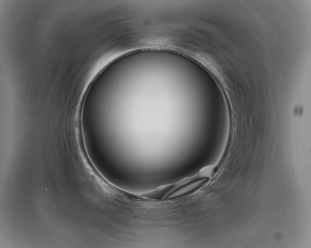 X0000097651440200802291440