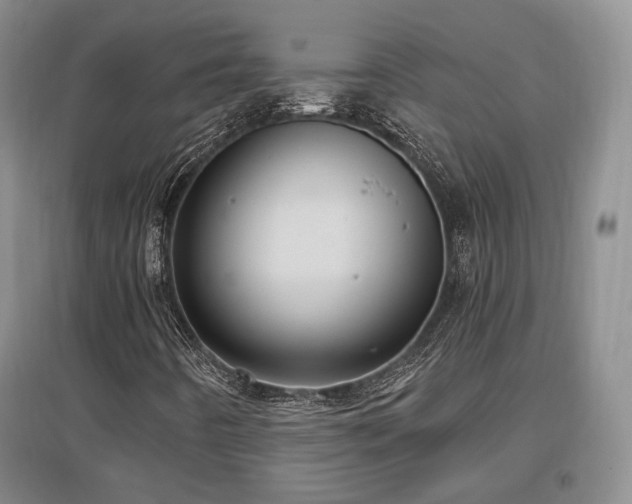 X0000097651442200802291439