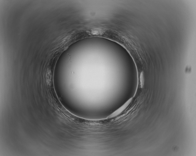 X0000097651443200802291439