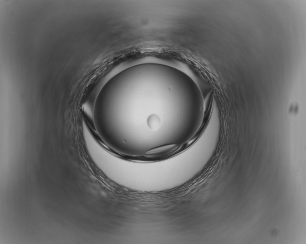 X0000097651445200802291439