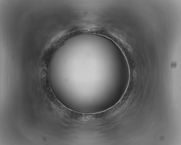 X0000097651447200802291439
