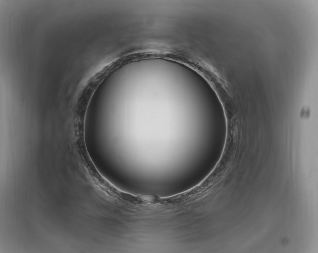 X0000097651448200802291439