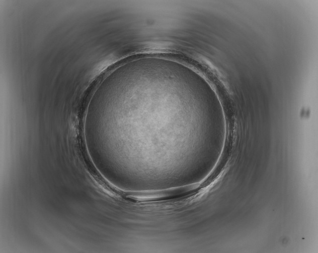 X0000097651449200802291439