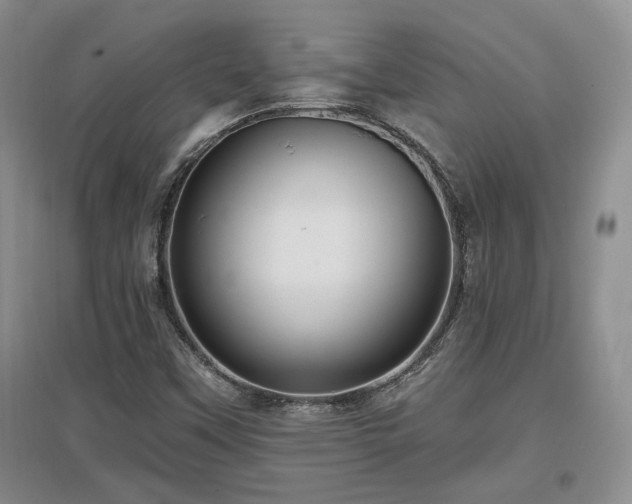 X0000097651451200802291439