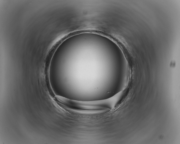 X0000097651452200802291439