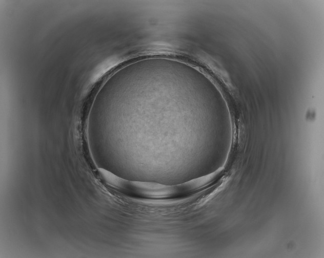 X0000097651453200802291439