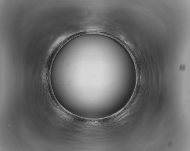 X0000097651454200802291439