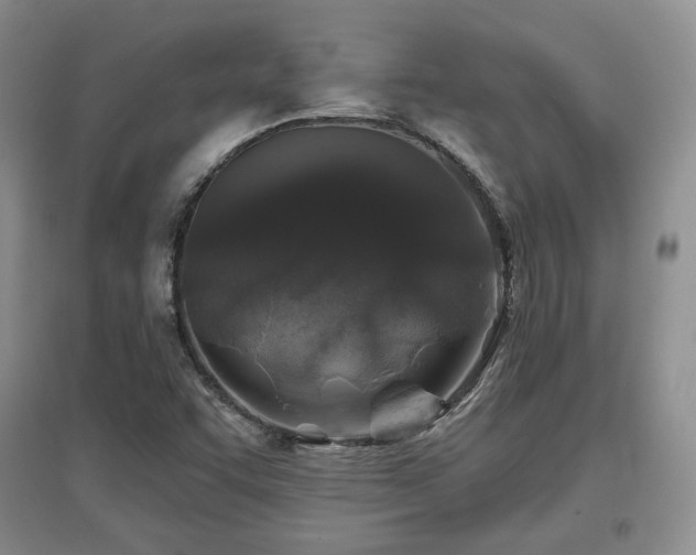 X0000097651455200802291439