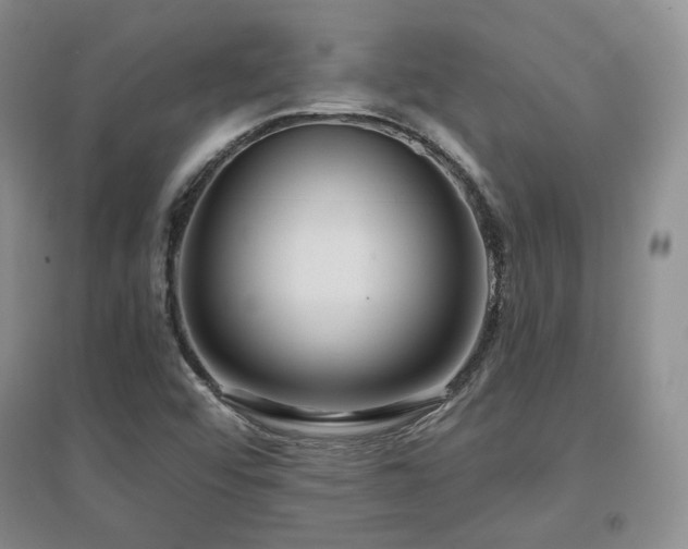 X0000097651456200802291439