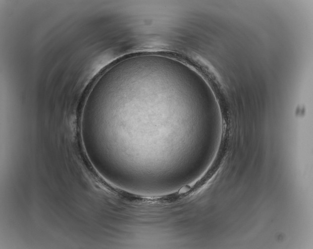 X0000097651457200802291439