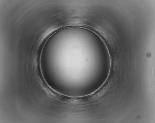 X0000097651458200802291439
