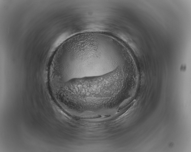 X0000097651459200802291439