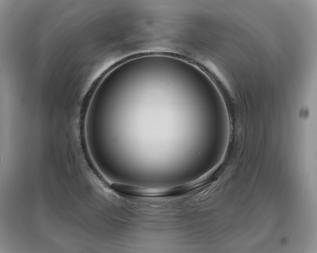 X0000097651460200802291439