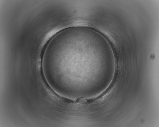 X0000097651461200802291439