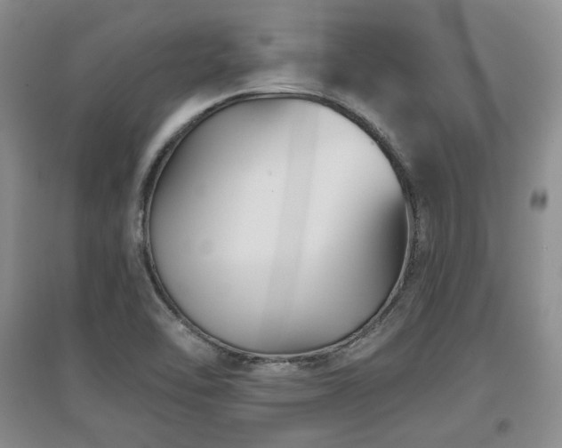 X0000097651462200802291439
