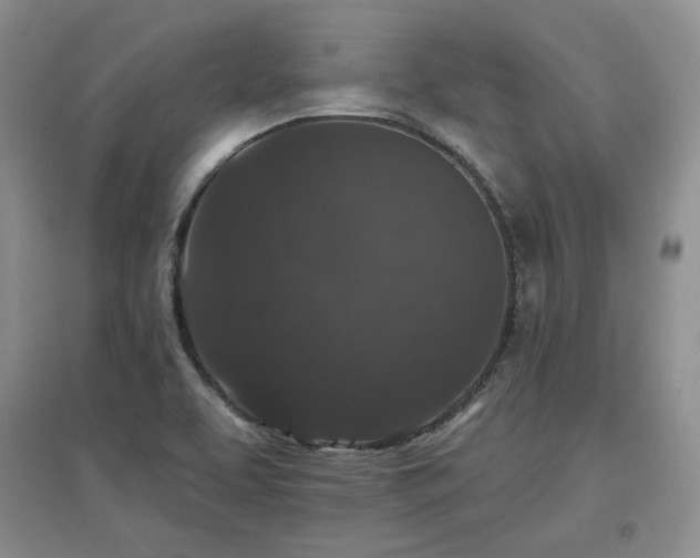 X0000097651463200802291439