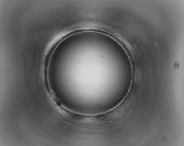 X0000097651464200802291439