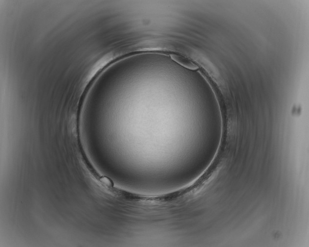 X0000097651465200802291439
