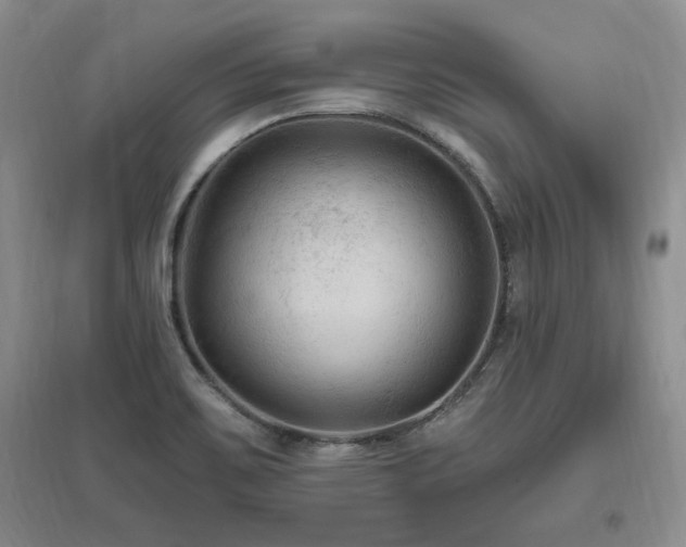 X0000097651467200802291439