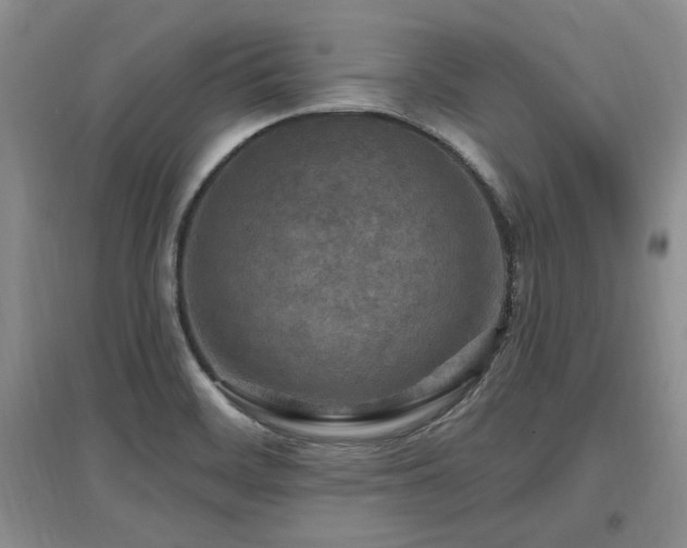 X0000097651468200802291439