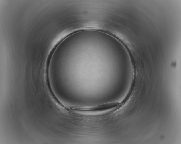 X0000097651469200802291439