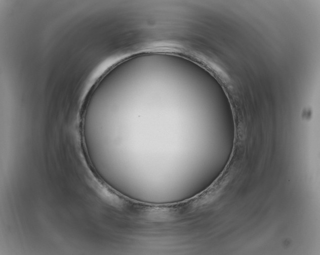 X0000097651470200802291439