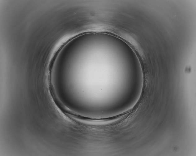 X0000097651472200802291439