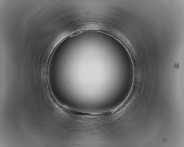 X0000097651473200802291439